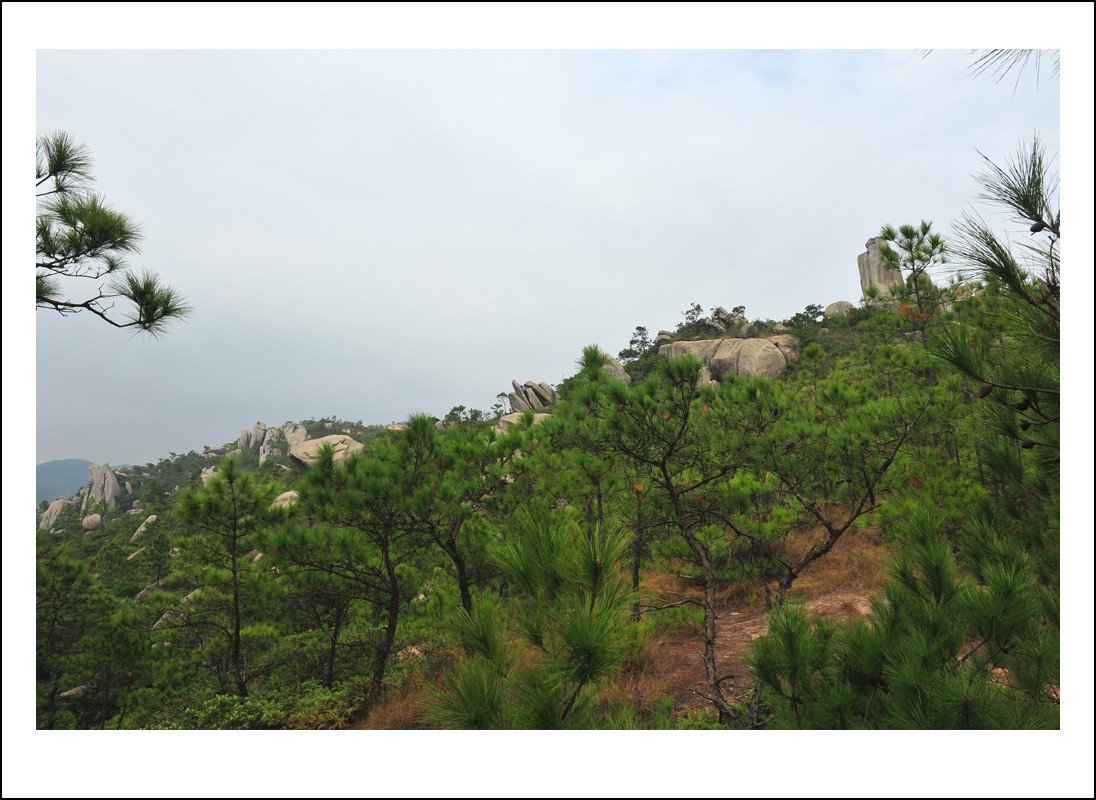 DSC_2323_conew1.jpg