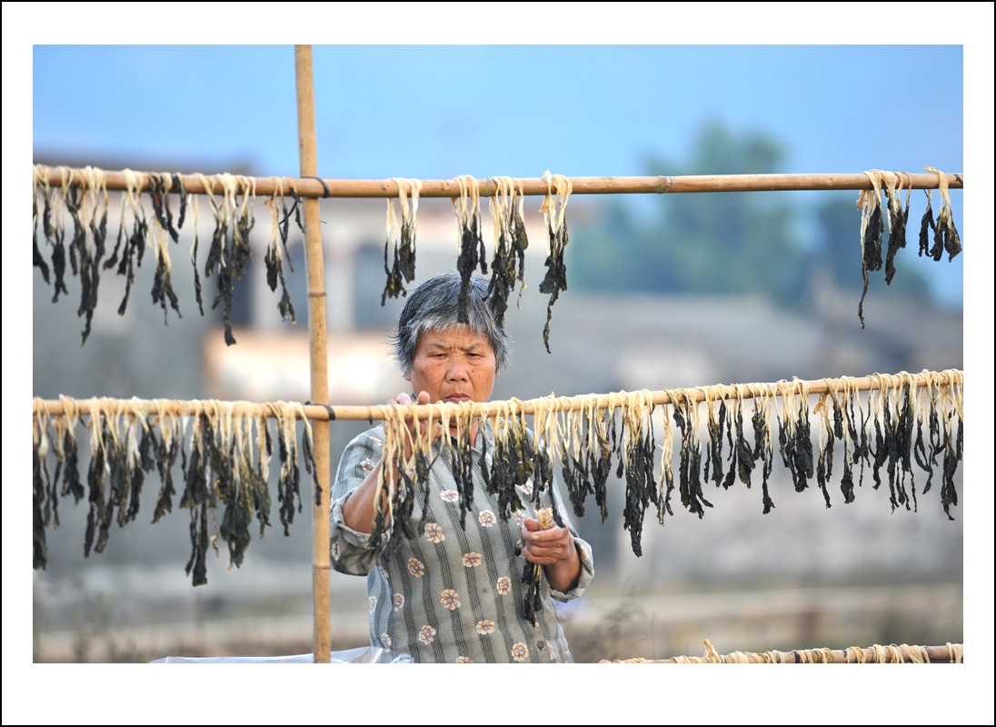 DSC_5219_conew1.jpg
