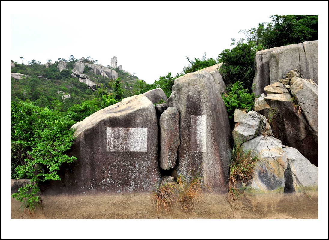 DSC_2152_conew1.jpg