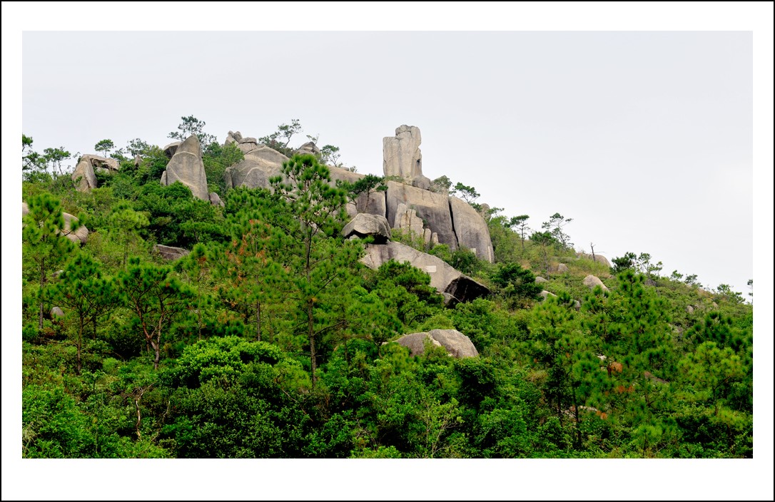 DSC_2143_conew1.jpg