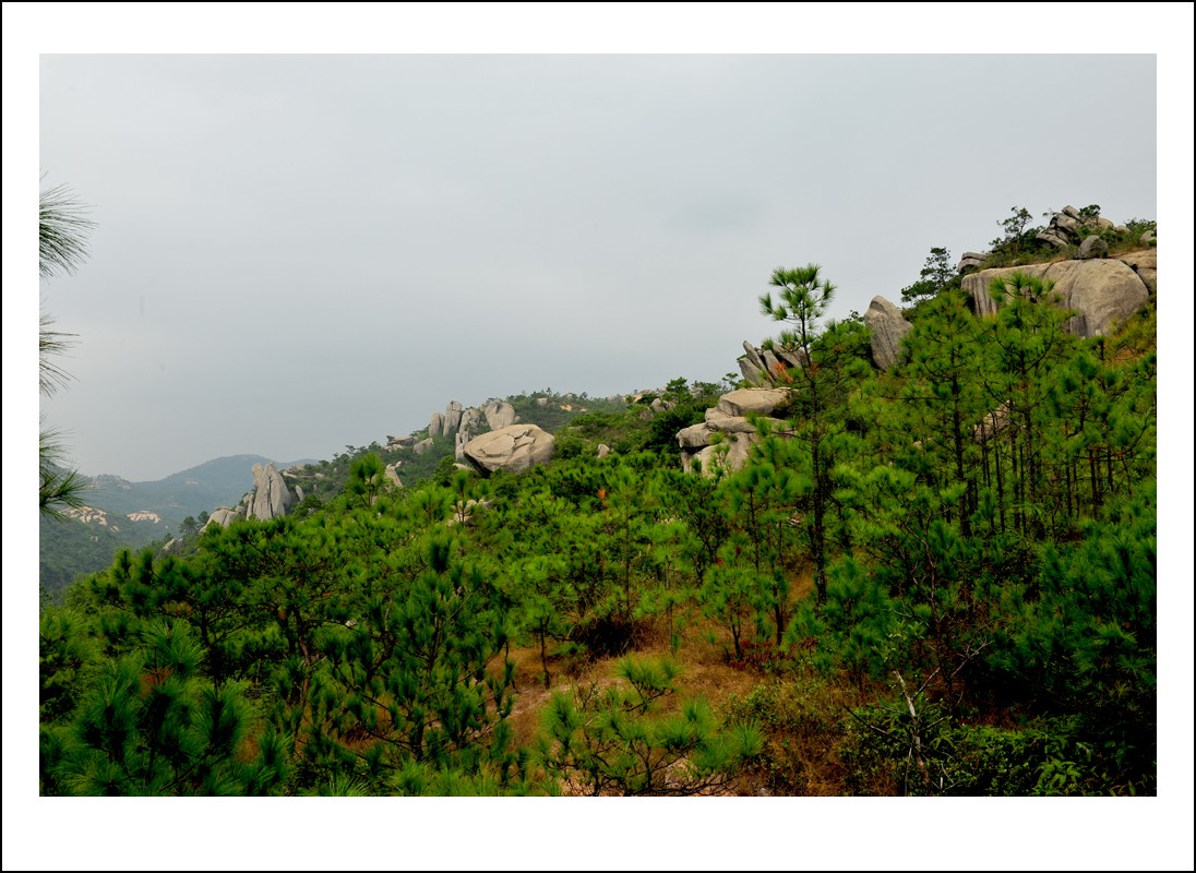 DSC_2329_conew1.jpg