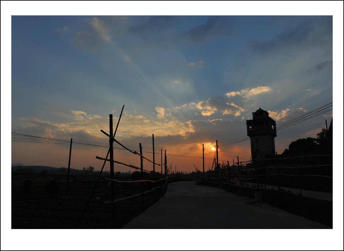 DSC_5565_conew1.jpg
