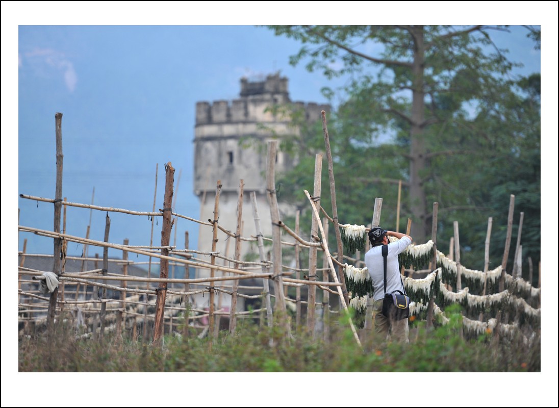 DSC_5255_conew1.jpg