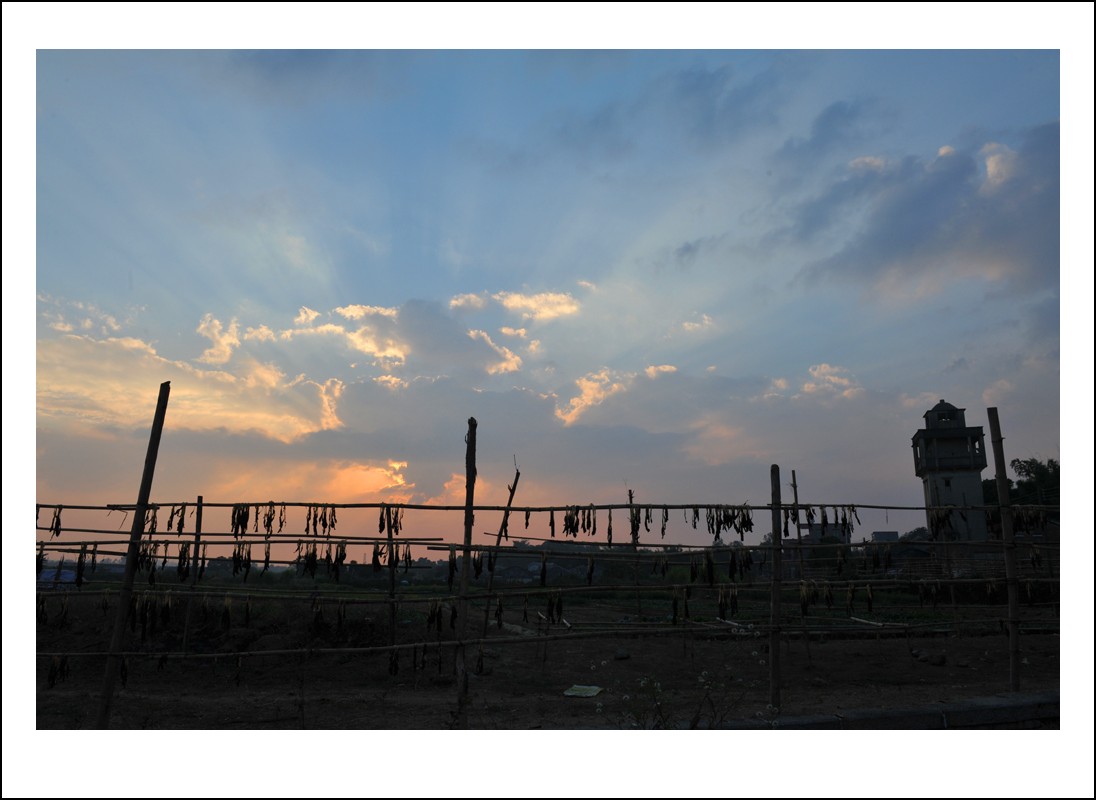 DSC_5537_conew1.jpg