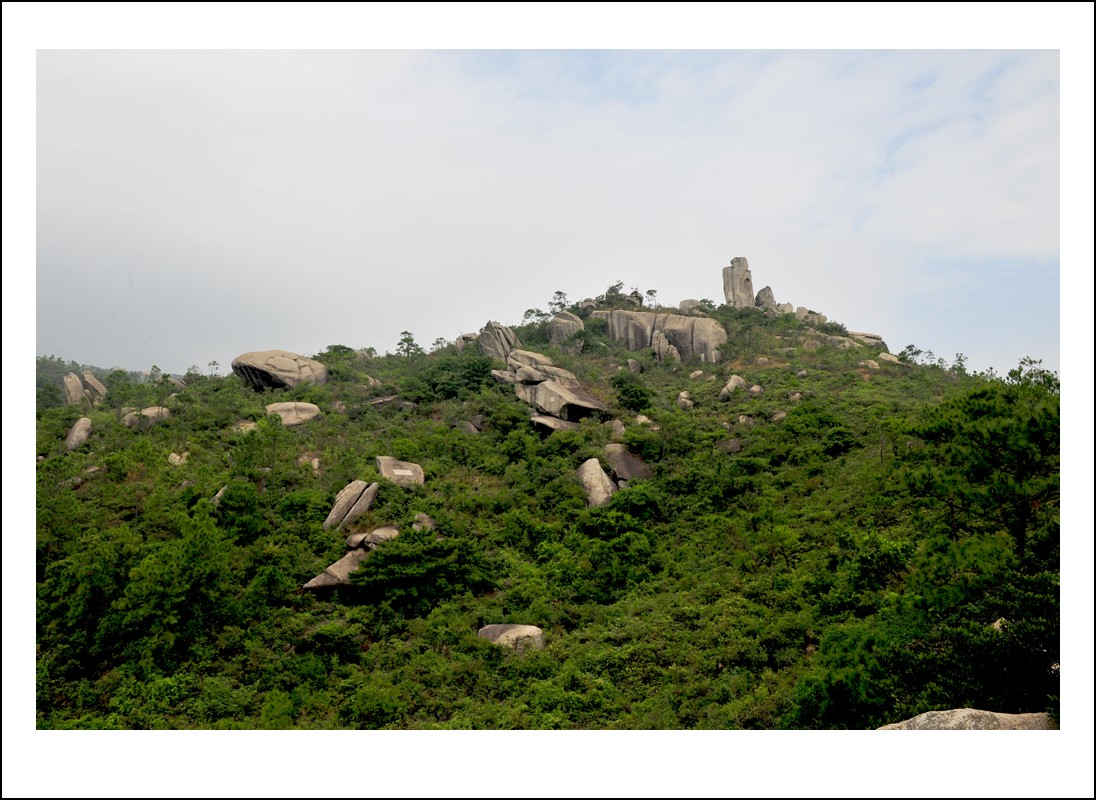DSC_2353_conew1.jpg