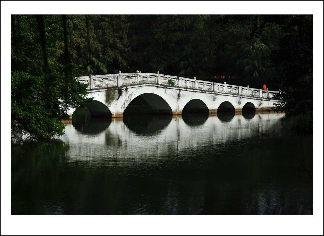 DSC_2965_conew1.jpg