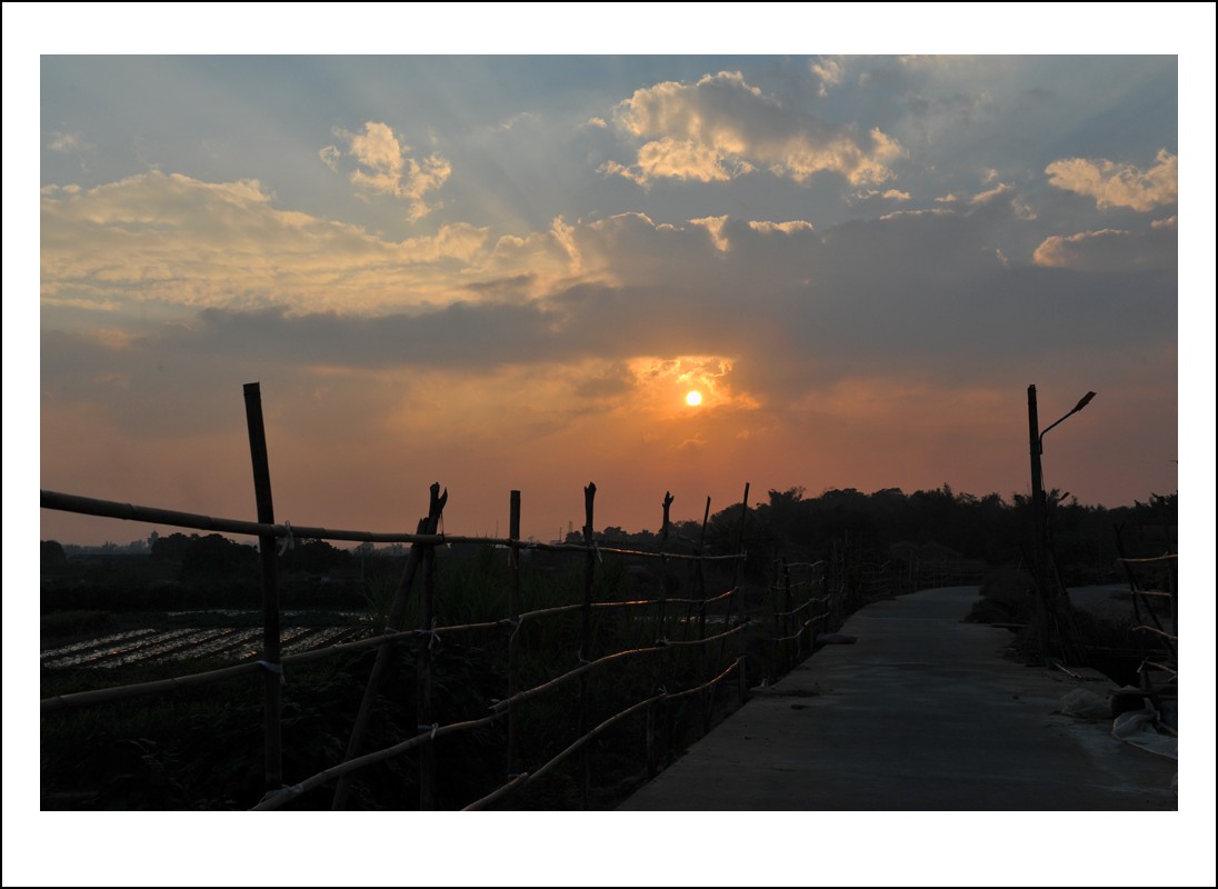 DSC_5574_conew1.jpg