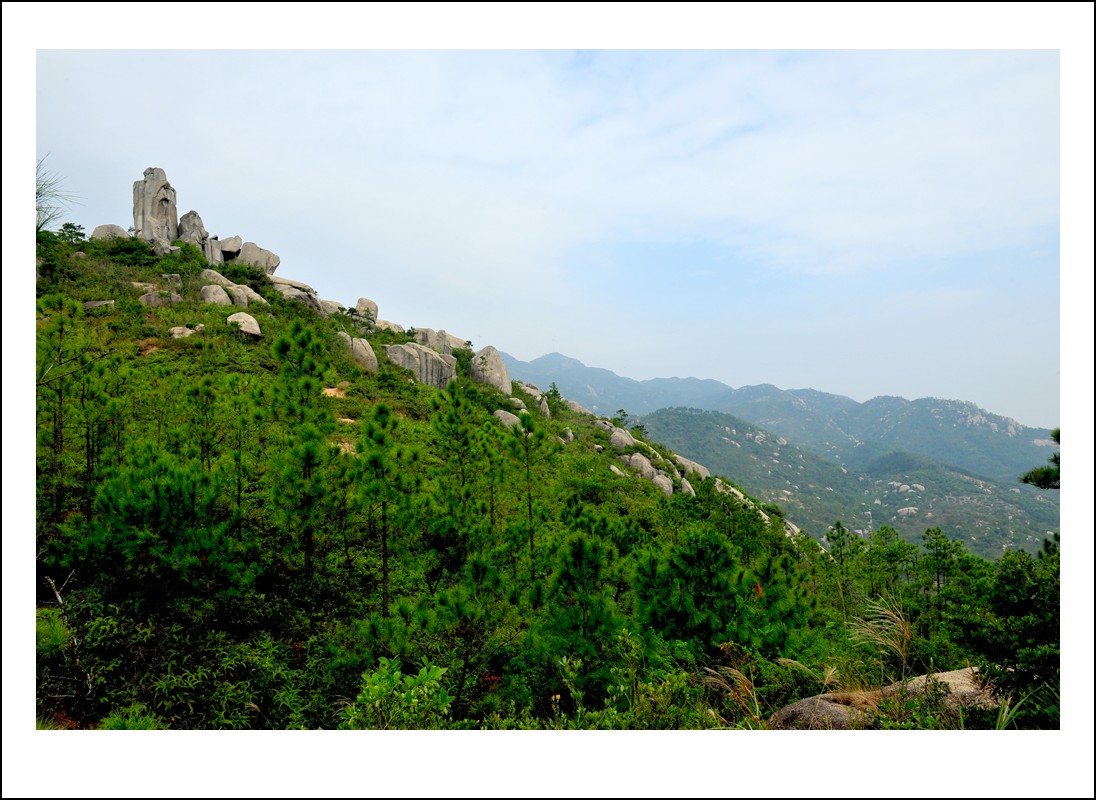 DSC_2319_conew1.jpg