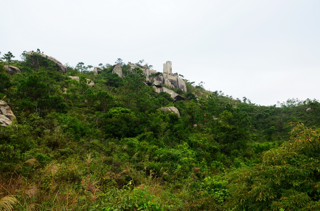 DSC_7538.JPG