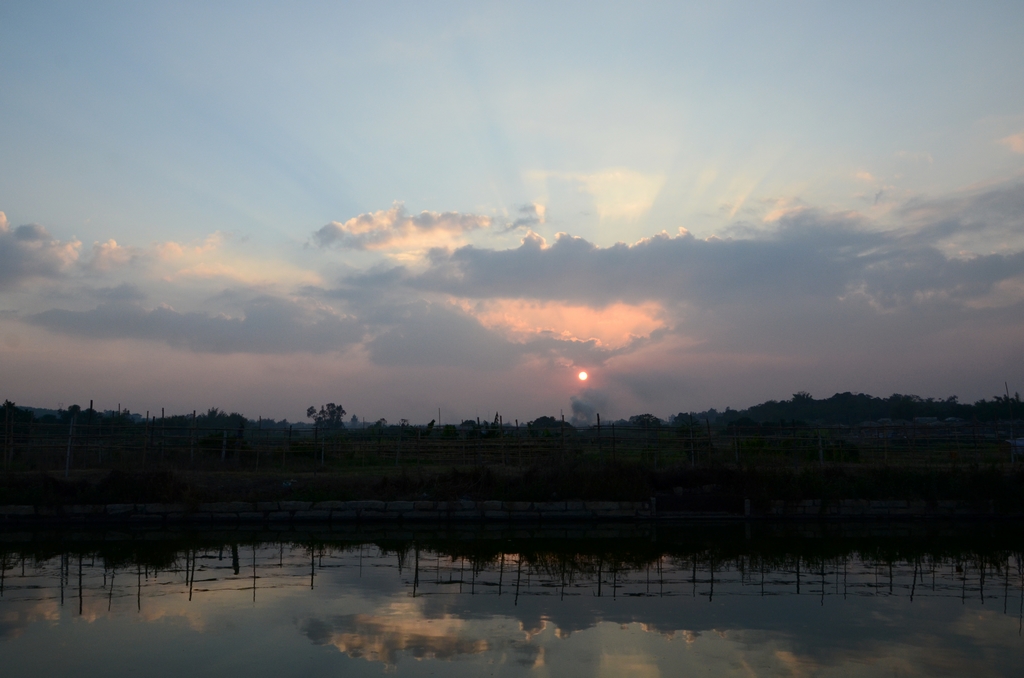 DSC_9558.JPG