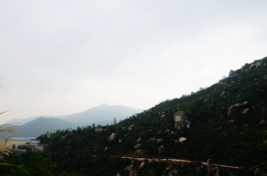 DSC_7555.JPG
