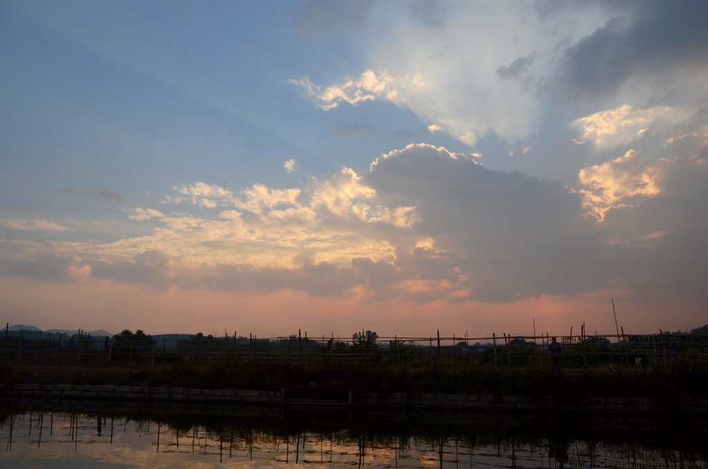 DSC_9507.JPG
