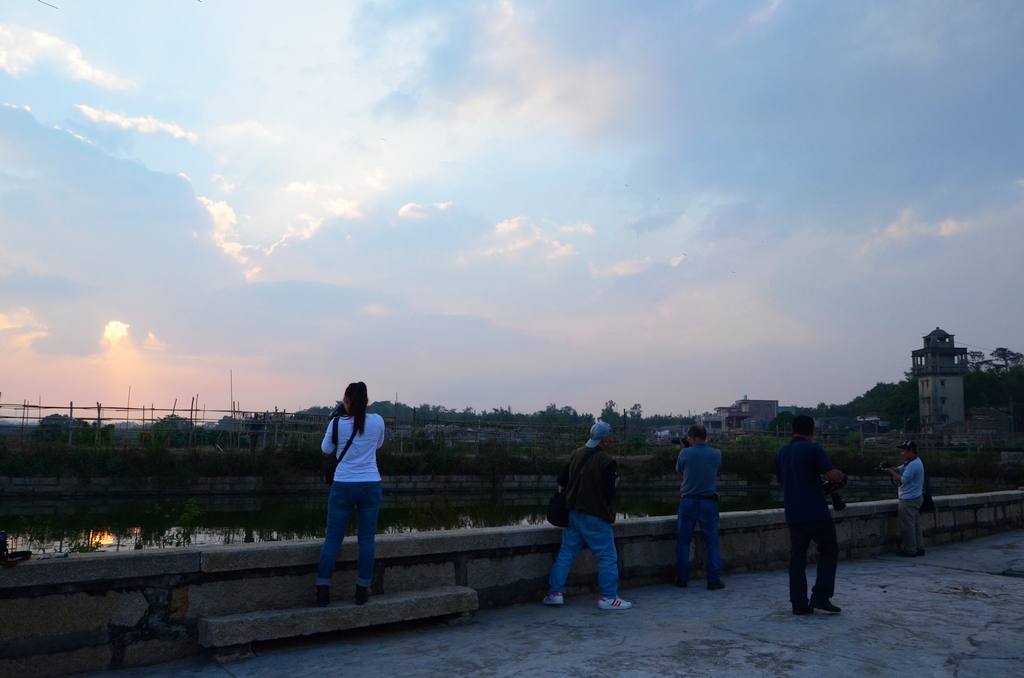 DSC_9516.JPG