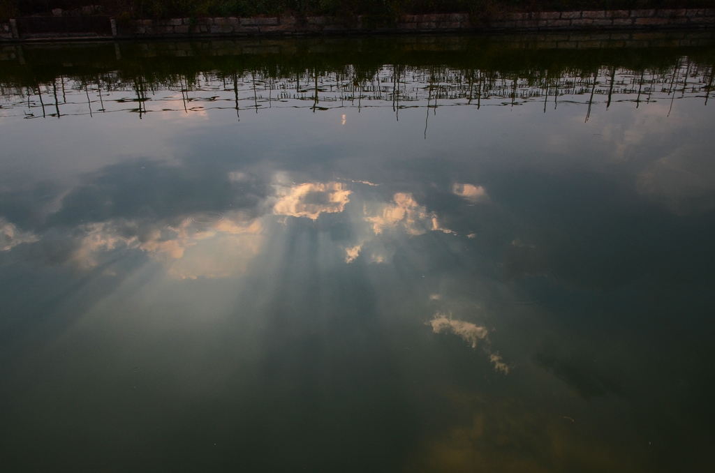 DSC_9470.JPG