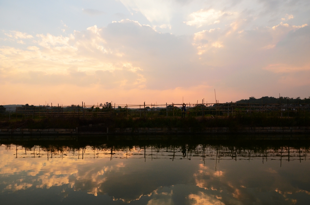 DSC_9506.JPG