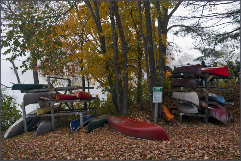 DSC_6712aa.jpg