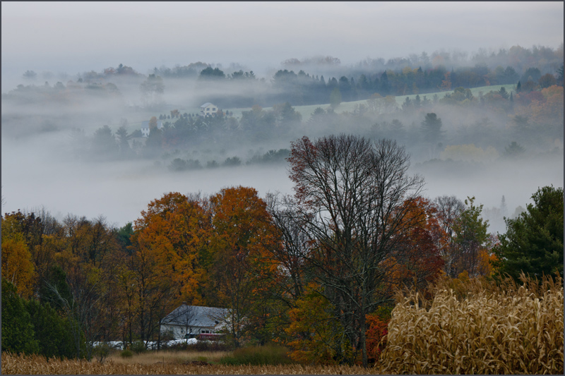 DSC_5865aa.jpg