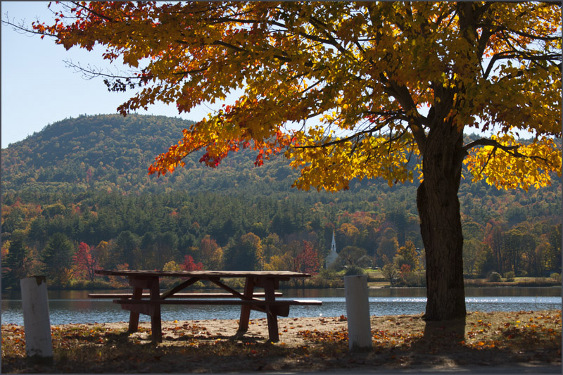 DSC_6272aa.jpg