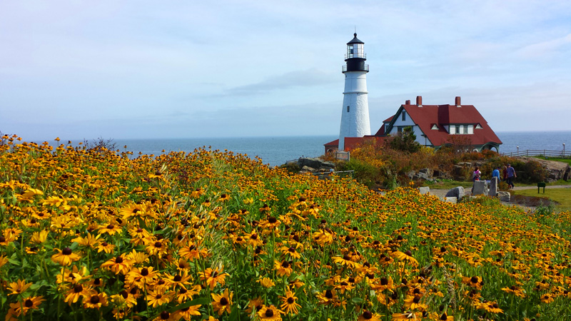 20141015_124732aa.jpg