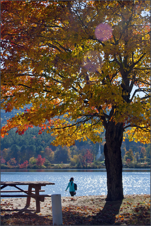 DSC_6268aa.jpg