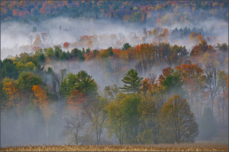 DSC_6032aa.jpg
