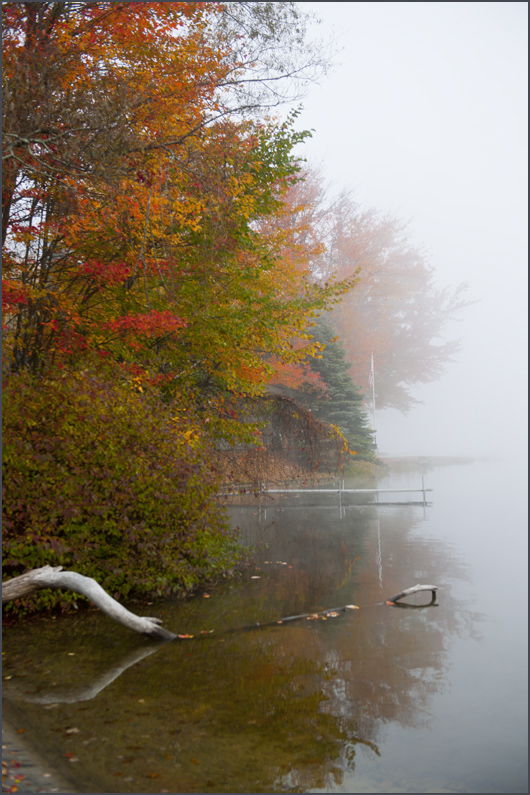 DSC_6715aa.jpg