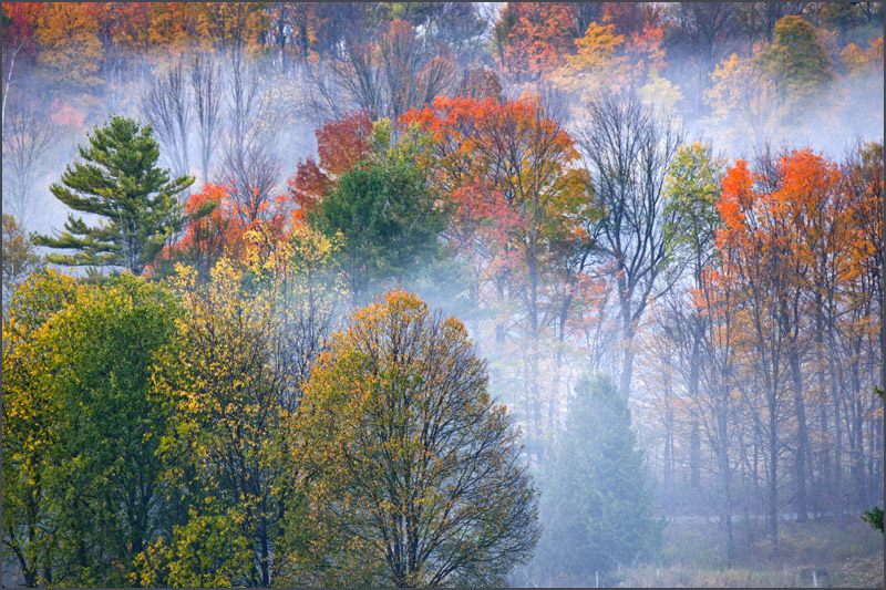 DSC_6048aa.jpg