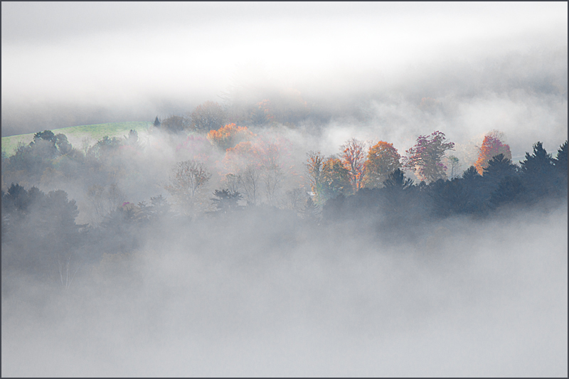 DSC_6074aa.jpg