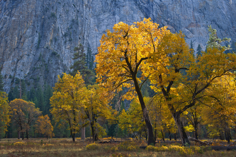 DSC_7552aa.jpg