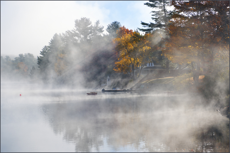 DSC_6749aa.jpg