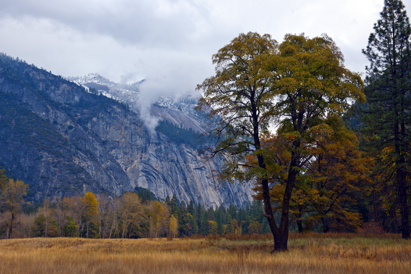 DSC_7432aa.jpg