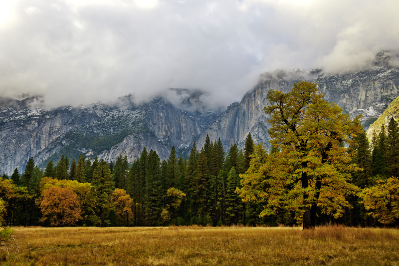 DSC_7502aa.jpg