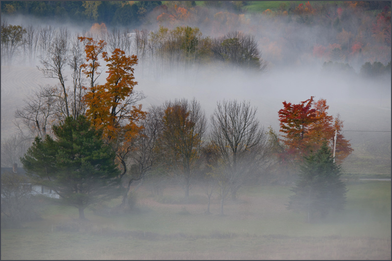 DSC_6022aa.jpg