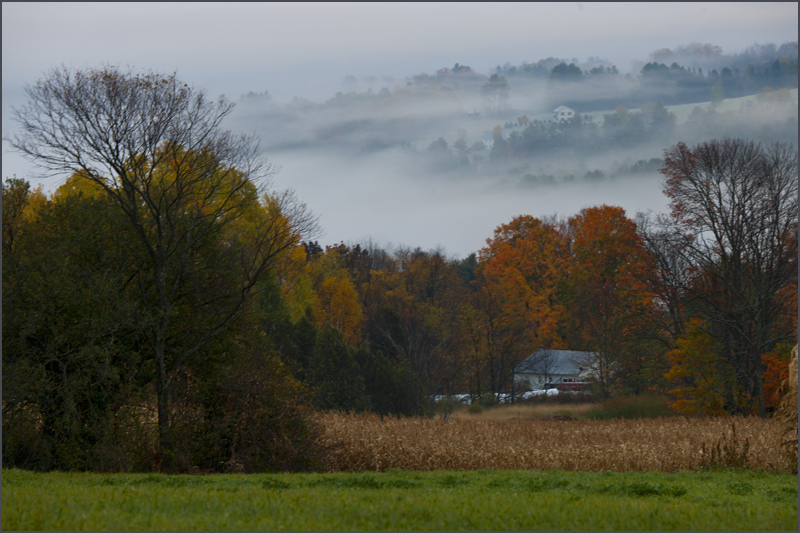 DSC_5871aa.jpg