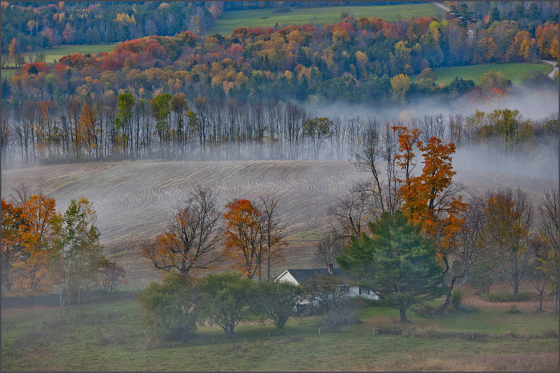 DSC_6029aa.jpg