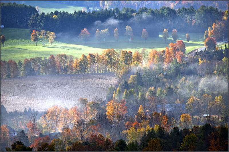 DSC_6189aa.jpg