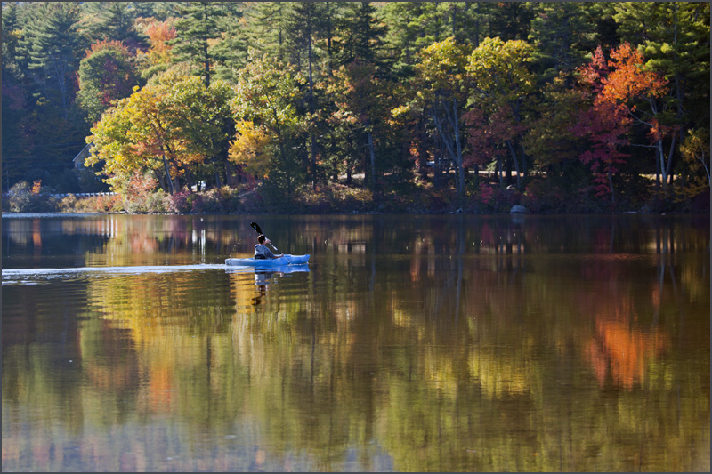 DSC_6442aa.jpg