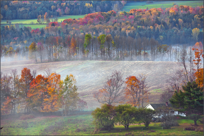 DSC_6039aa.jpg
