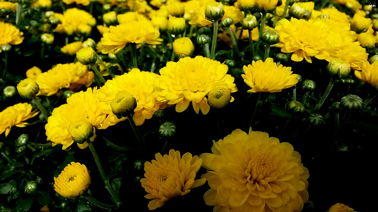 20140810_102242.jpg