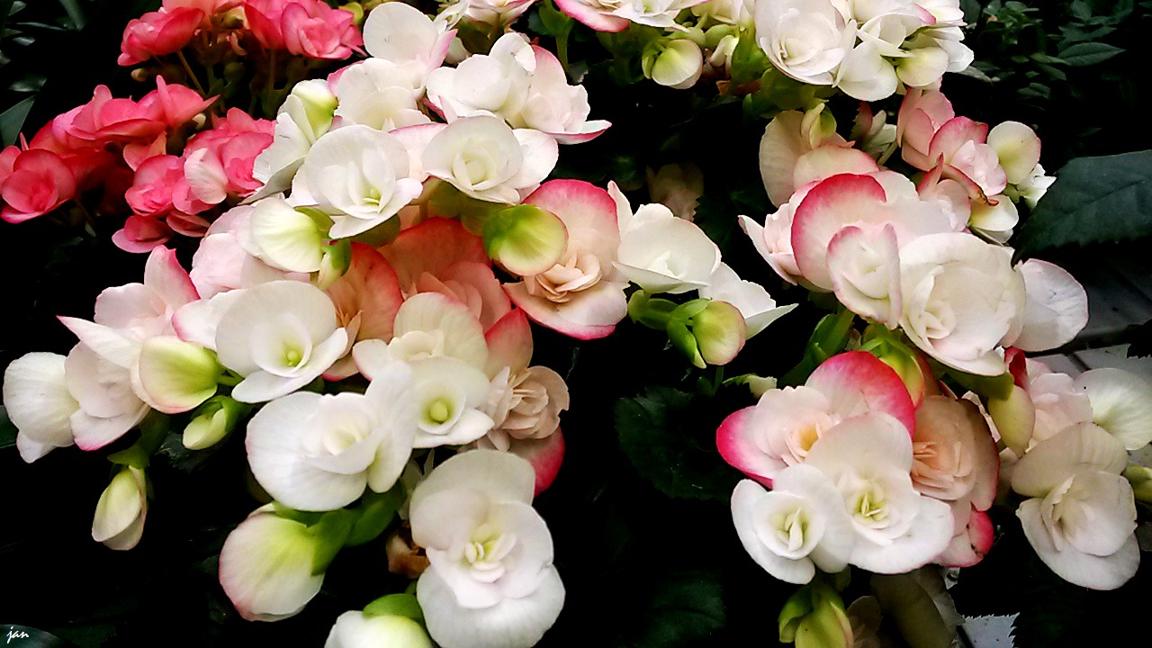 20140720_190605.jpg