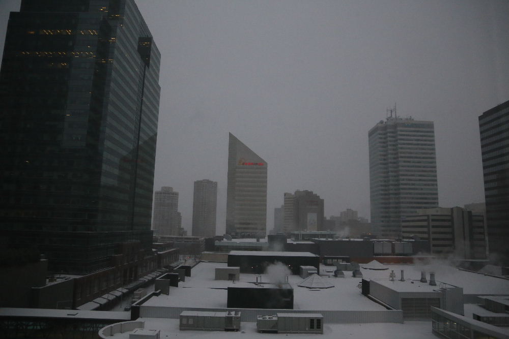 IMG_8877.JPG