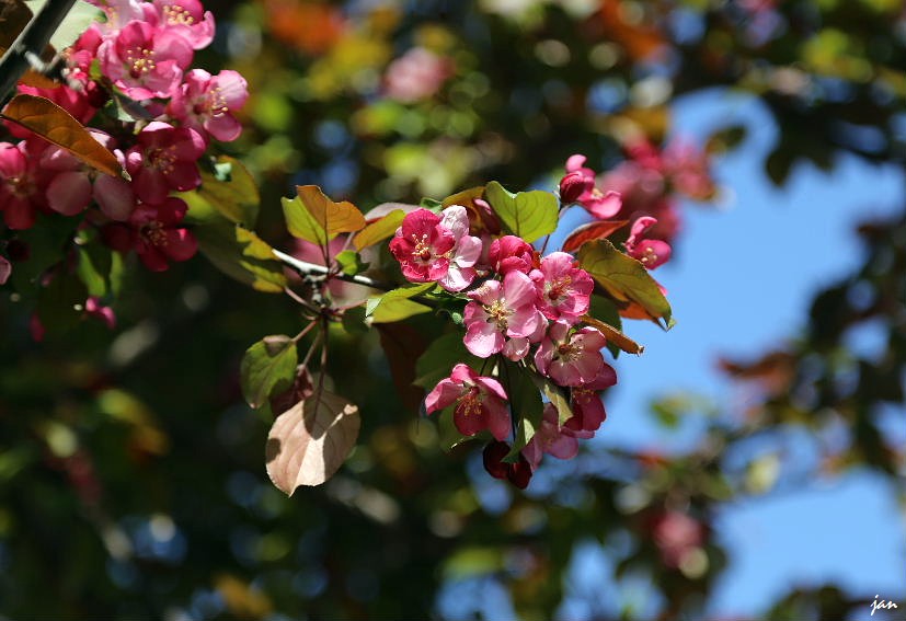 IMG_4179=.jpg