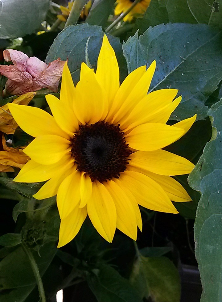 20140720_190951.jpg