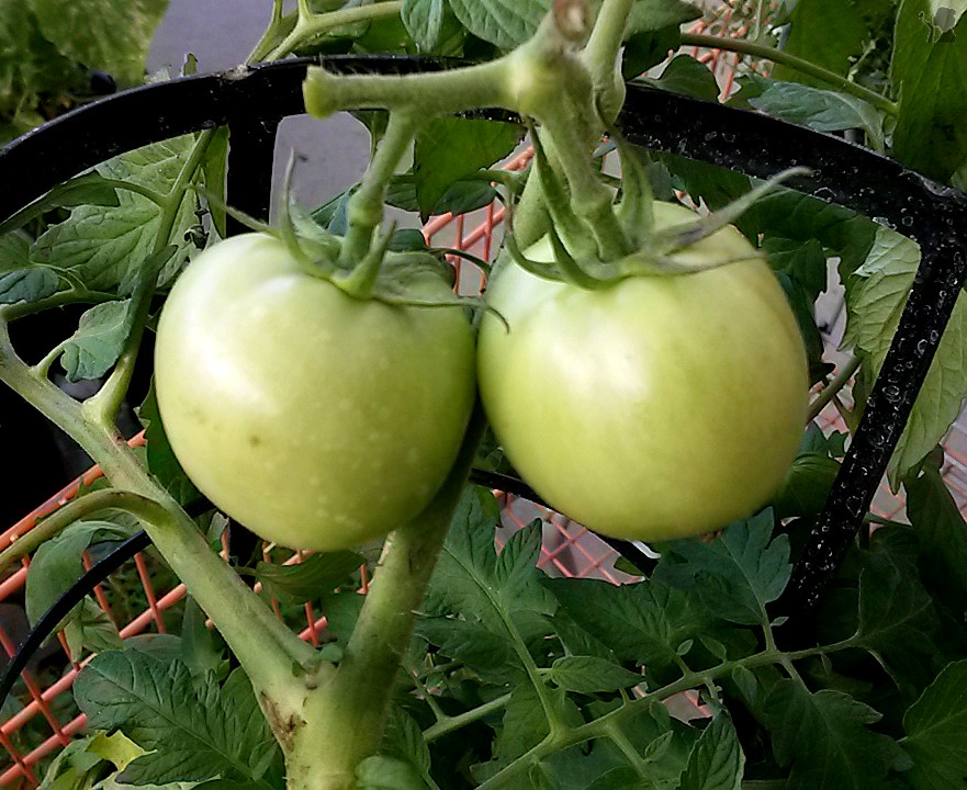 20140720_190852.jpg