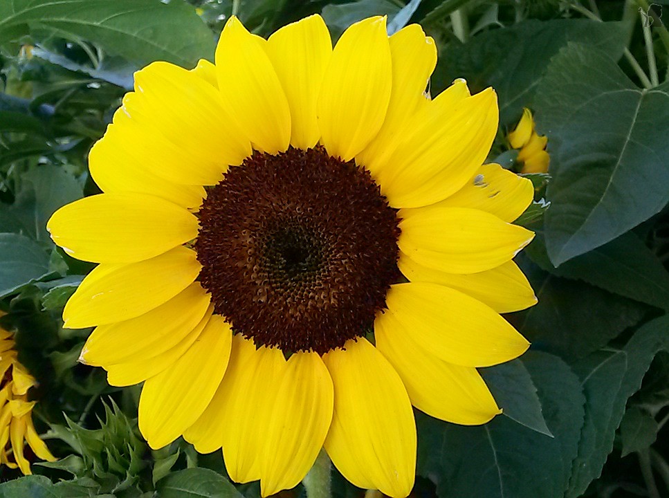 20140720_191019=.jpg