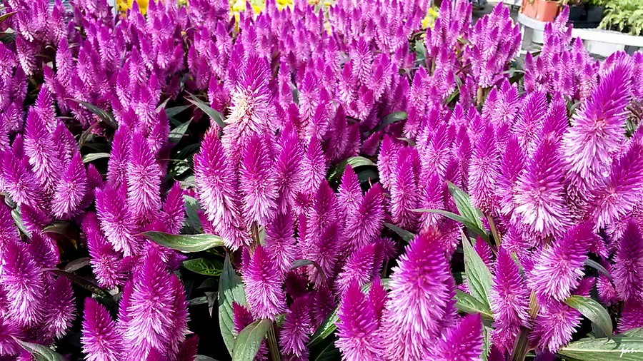 20140810_102142.jpg