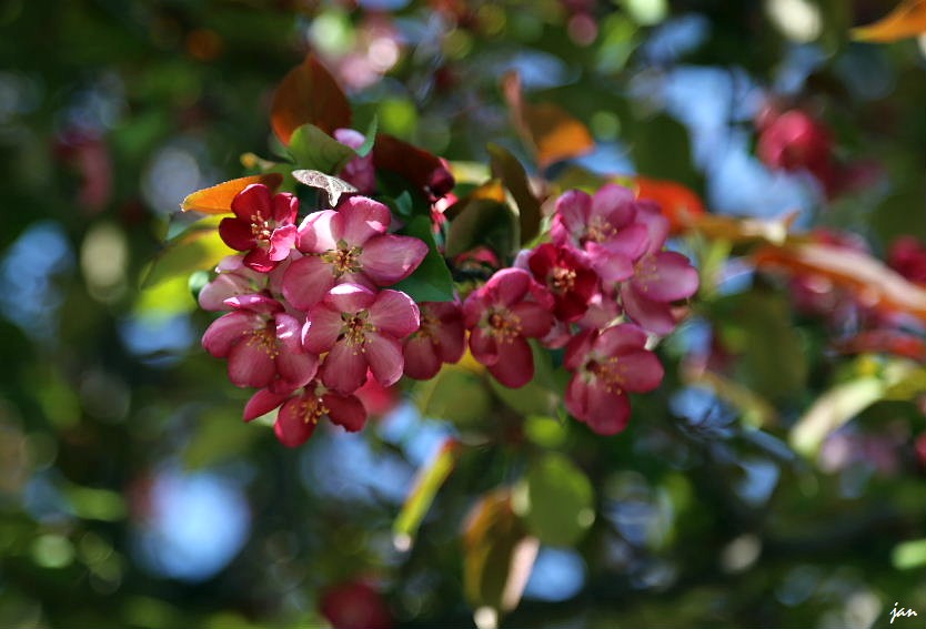 IMG_4178=.jpg