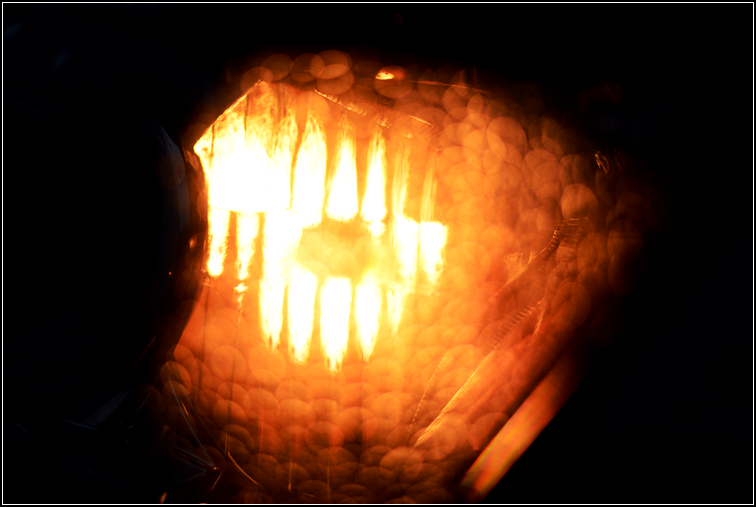 DSC_9290.jpg