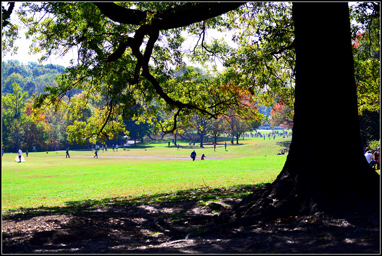 DSC_8032.jpg