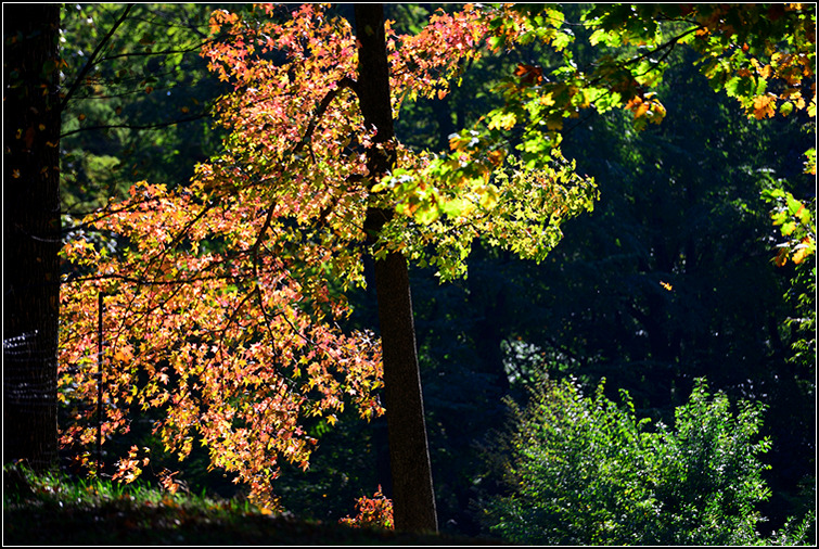 DSC_8006.jpg